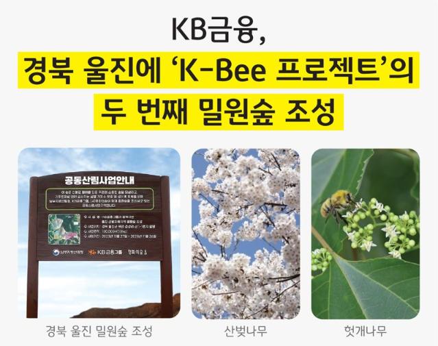 KB금융, 식목일 맞아 경북 울진에 ‘K-Bee 프로젝트’ 밀원숲 조성