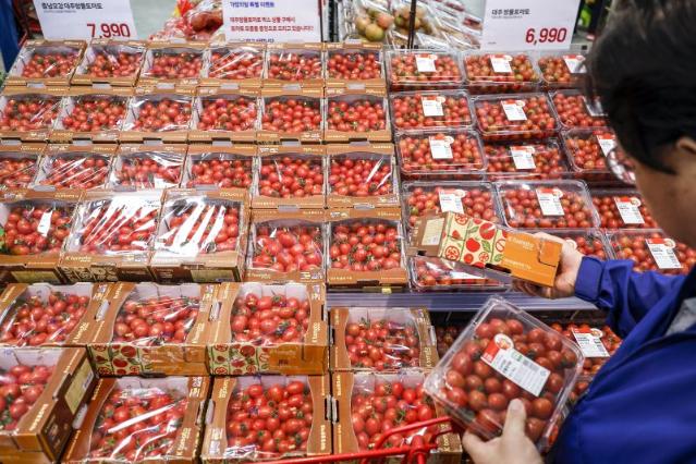 사과·배만 뛰는 게 아니었네 방울토마토 42%·참외 36% ↑[경기부양 고민깊은 정부]