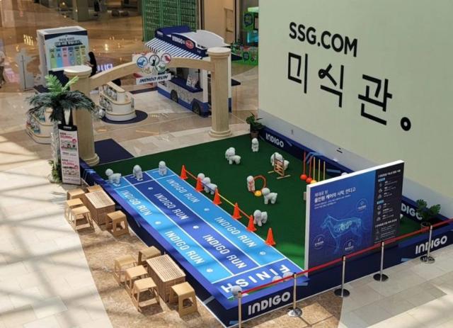 오에스피, '인디고X바우와우코리아' 팝업스토어 개최