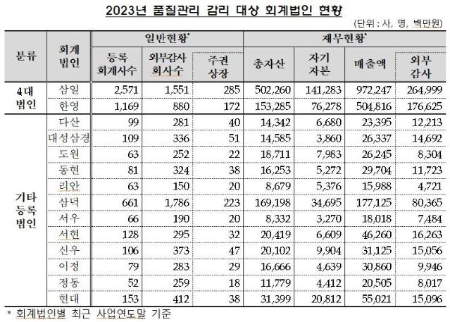 회계법인당 9건씩 감리 지적···중견·중소형이 평균 상회