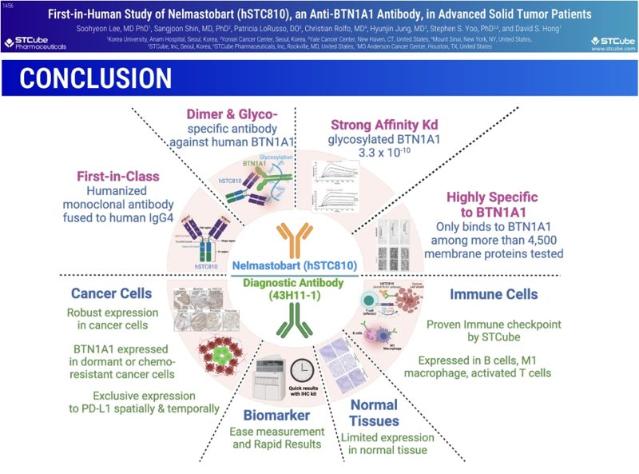 에스티큐브 “BTN1A1, 면역항암 치료의 강력한 바이오마커 될 것…유효성·안전성 검증 성공”