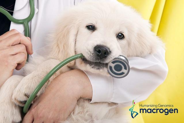 우리 강아지 장 건강은? 마크로젠 반려견 장내 미생물 분석 '마이펫진'