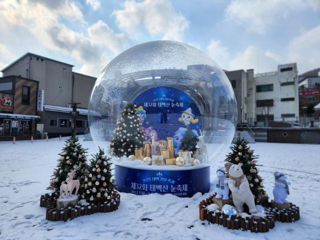 "눈꽃 트레킹 갈까, 겨울축제 즐겨볼까?"