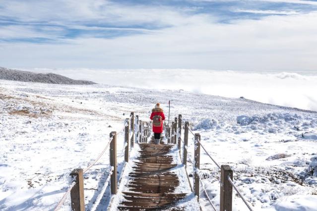 눈꽃 트레킹, 그 설렘 속으로 [Weekend 레저]