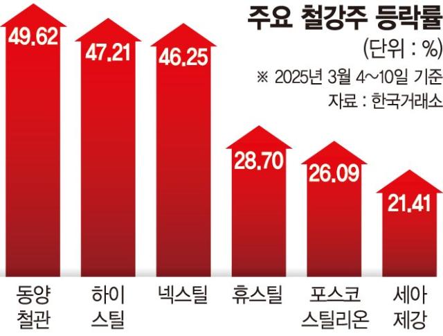 25% 관세 vs 중국 감산… 철강株 강세 계속될까