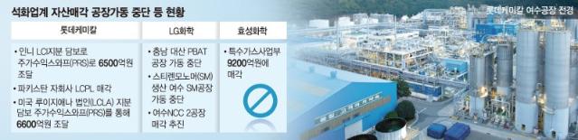 "정부, 자율 구조조정위해 공정거래법 예외 등 '판' 깔아줘야"[각자도생 나선 석화업계]