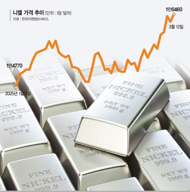 니켈값 바닥 찍고 반등… 배터리 산업 부활 신호탄? [전기차 캐즘 끝나가나]