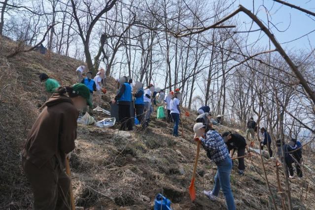 인포뱅크 아이도키, 식목일 맞아 세븐틴 민규 이름으로 묘목 기부