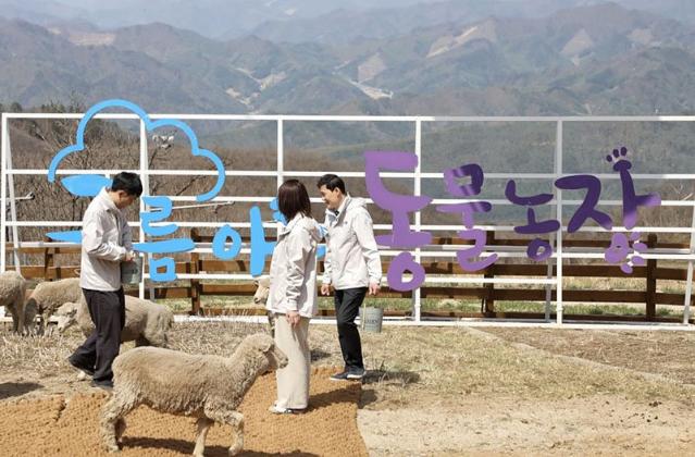 해발 1340m '하이원 구름아래 동물농장', 5월 1일 리뉴얼 오픈