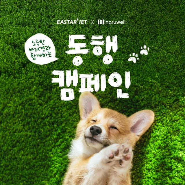이스타항공, 반려견 동행에 진심