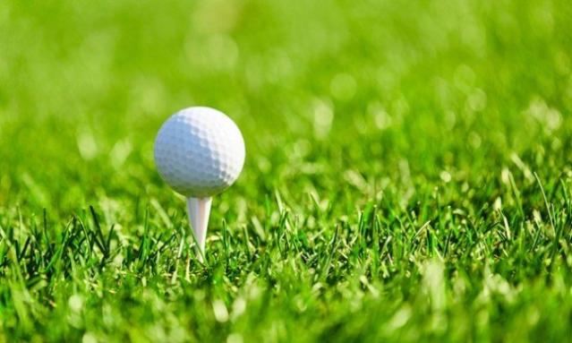 “집 주변에 골프장 있나요?” ‘이 병’ 위험 최대 126% 높아진다는데 [건강잇슈]
