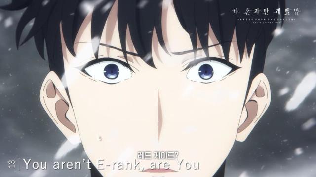 카카오엔터 IP ‘나 혼자만 레벨업’ 9관왕, 한국 애니 사상 첫 최고상 수상