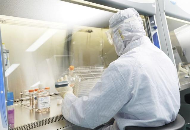 강스템바이오텍, 연내 기술수출 가능성 '솔솔'