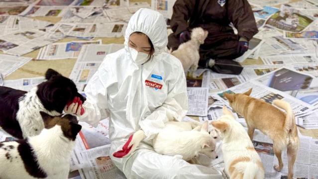 이스타항공 "유기견과 교감"... 사료 기부하고 놀이 봉사