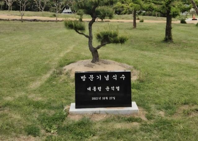 사라진 병산서원의 ‘윤석열 기념식수 비석'…안동시, 현황 파악 중