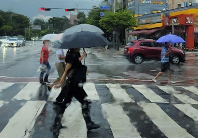 "나무 쓰러지고 돌덩이 와르르", 100mm 호우에 강원 곳곳 피해