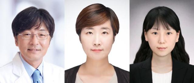 고통스러운 뇌혈관 조영술 대신… 혈액검사로 소아 모야모야병 진단 길 열려