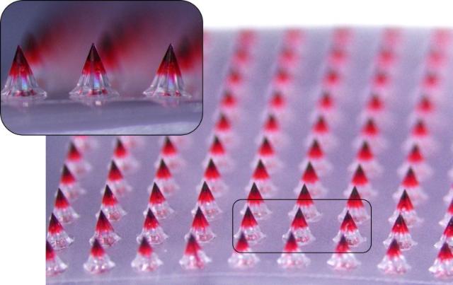 대웅, 자체 개발 '마이크로니들 패치' 흡수율 80% 소식에↑ [특징주]