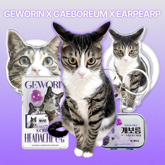 "한국인의 두통냥 '개보름'" 굿즈 만나요