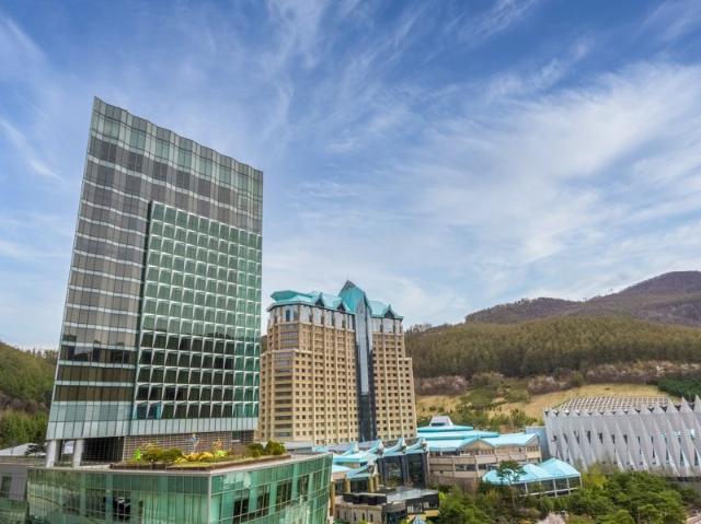 하이원리조트, 업계 최초 ‘그린카드 에코머니 적립’ 시범운영