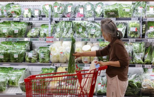 8월 물가 1.7%↑…통신비 내리고, 농축수산물 급등 (상보)