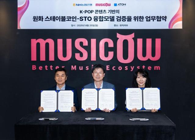 원화 스테이블코인 기반 K팝 투자 생태계 만든다