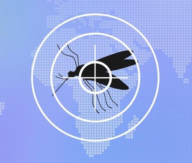 "아이 '모기 팔찌' 항상 챙겼는데"..모기기피제, 절반이 의약외품 아니었다