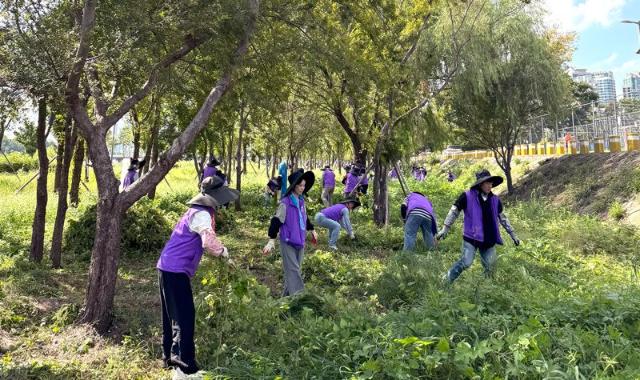 동성케미컬, 이촌한강공원서 생물다양성 보전 활동 전개