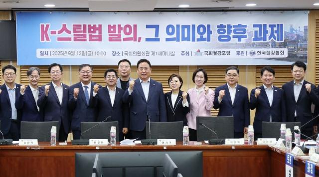 4중고에 처한 국내 철강산업.."국가 차원의 전략적 접근 시급"