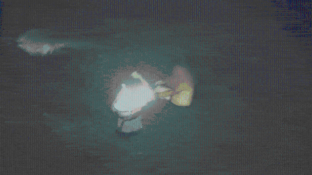 구명조끼 벗어준 李해경의 ‘마지막 30분’…캄캄한 바다서 사투 벌였다