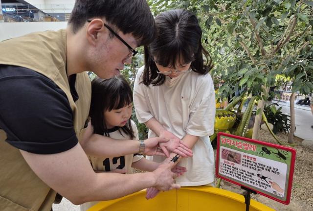롯데몰 동부산점, '여주곤충박물관 팝업' 한 달 연장 운영