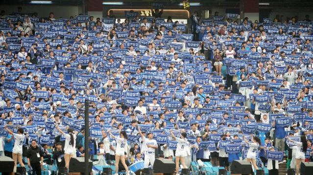 삼성 인기 업고 포스트시즌 티켓 사기 기승... 대구경찰청 "이런 사기 조심해야"