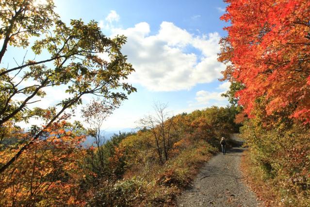 탄광의 역사를 따라 걷는다.. 강원랜드, 내달 1일 '운탄고도 트레킹'
