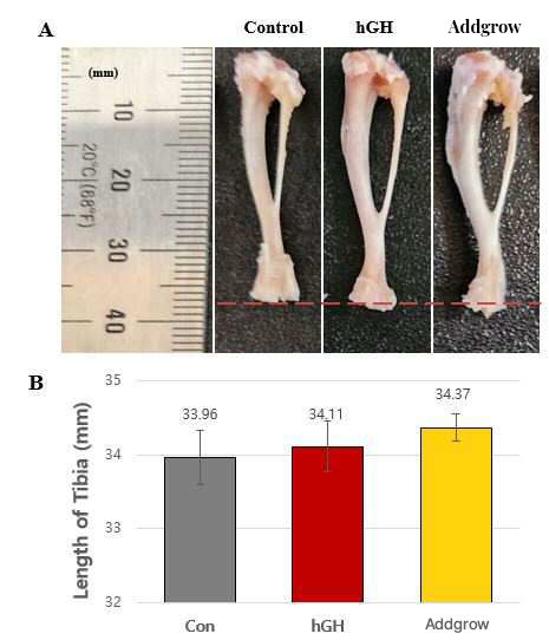 케어젠, 키 성장 펩타이드 ‘CG-Addgrow’ 물질 특허 등록