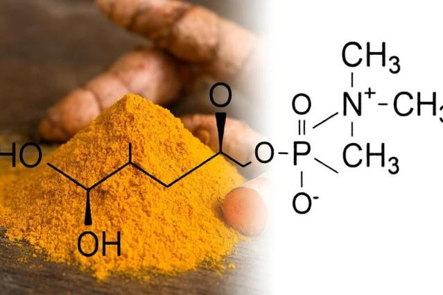 "치매 예방 영양제 생산 돌입" 알피바이오, 강황 원료 확보