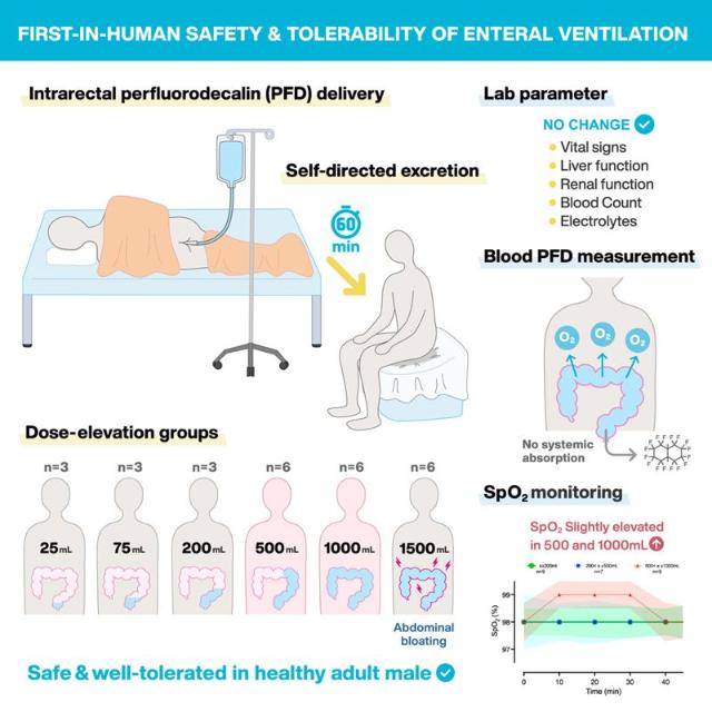 이름마저 이상한 '엉덩이 호흡'…폐 질환 환자를 도울 수 있을까