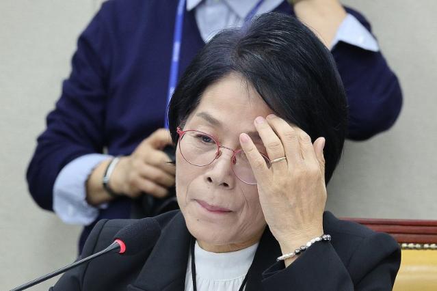 도마 위에 오른 망 사용료·인앱결제...'플랫폼 책임론' 따진 국감(종합)[2025 국감]