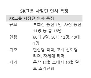 최태원 회장, 4050대 '현장형 젊은 리더' 사장단 전진 배치...이형희 부회장 단독 승진