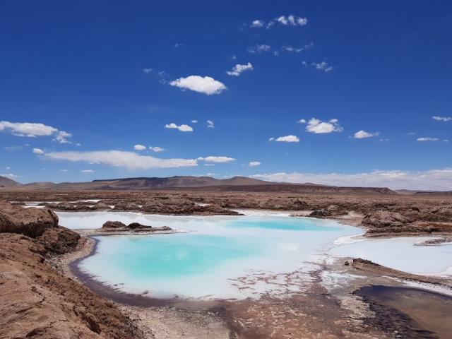 포스코홀딩스 5%대 강세 [특징주]