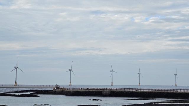 중국산에 점령당한 태양광.. 李정부 '정교한 정책설계' 없다면 '에너지 안보' 남의 손에 [이유범의 에코&에너지]
