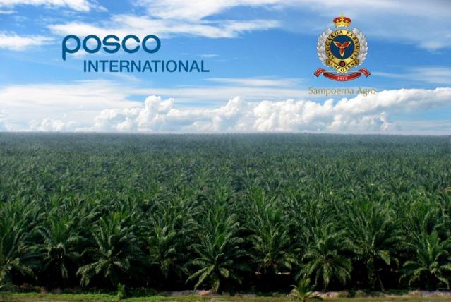"서울 2배 팜 농장 확보"...포스코인터, 인니서 1조3000억 M&A