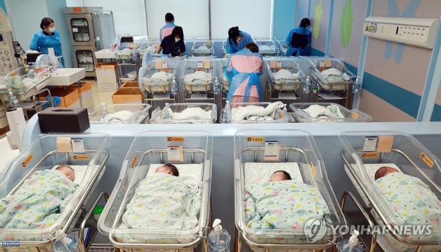 1983년생과 1991년생의 32세.. 혼인·출산율 2배차이 났다