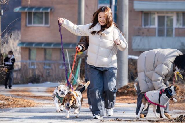 한진, 유기견 보호 위해 논산센터서 돌봄 봉사...친환경 매출도 기부