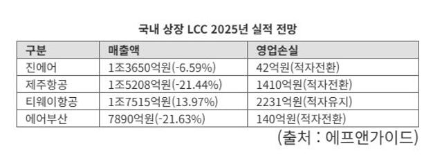 적자에 고환율까지... 위기의 LCC '특화전략' 수립