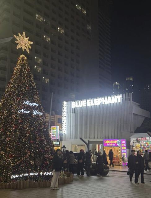 "MZ가 사랑한 안경" 블루엘리펀트, 부산 상륙… 해운대에 1호점 오픈