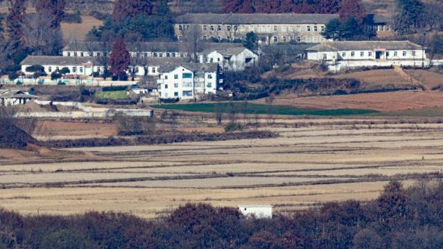 올해 북한 식량작물 490만t 생산, 전년비比 12만t 증가