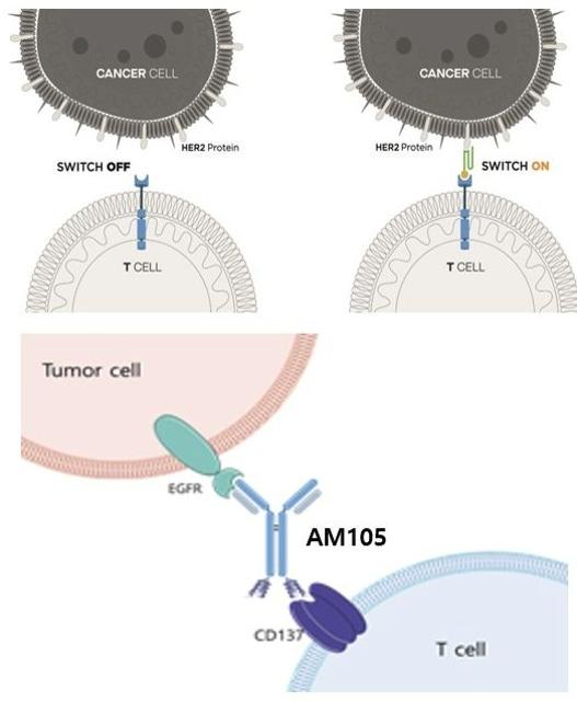 앱클론, 미국암연구학회서 AT501?AM105 발표 “혁신 항암치료 접근법 제시”
