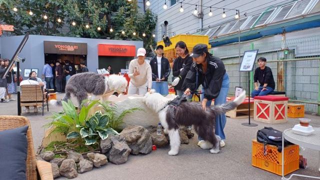 '잘파' 식습관 평생간다..식음료 업계 성수로 간 까닭은 [르포]