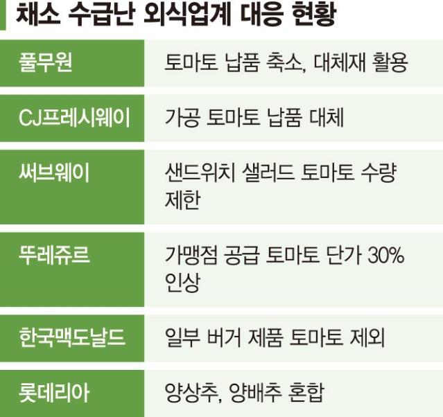 토마토·양상추 없는 햄버거라니… 외식업계, 채소 구하기 진땀