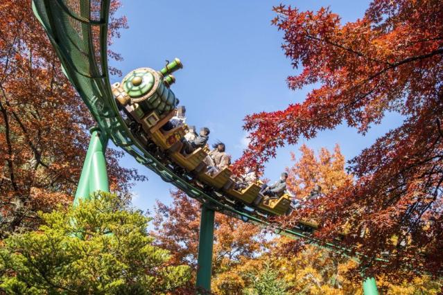 단풍으로 물든 에버랜드로 '가을 소풍' 떠나볼까?